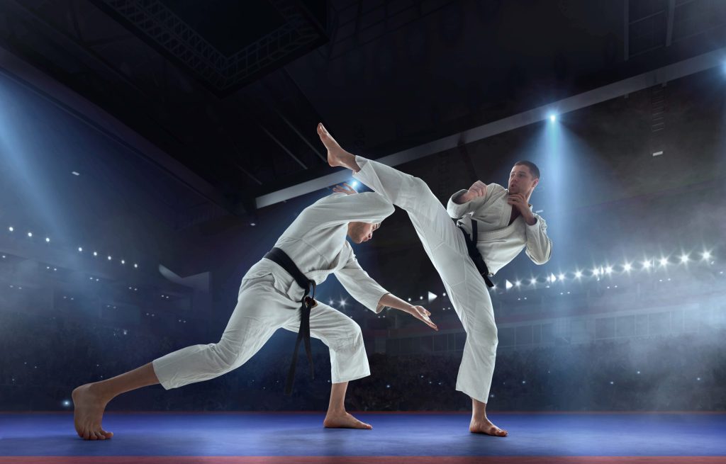 Revolucionando el Mundo de las Artes Marciales